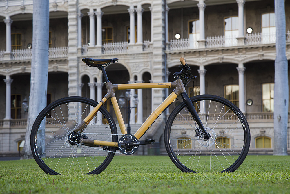 Iolani Palace and bamboo bike